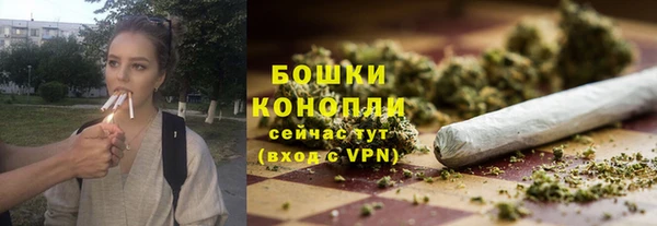 трава Туринск
