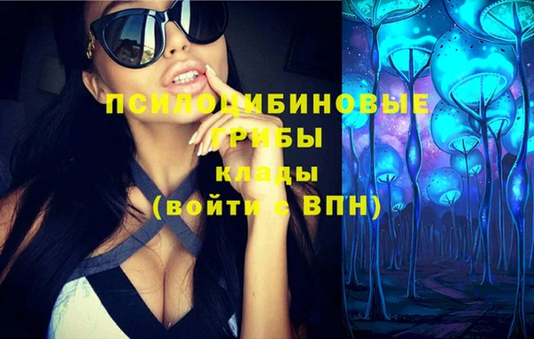 крисы Тутаев