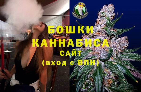 трава Туринск