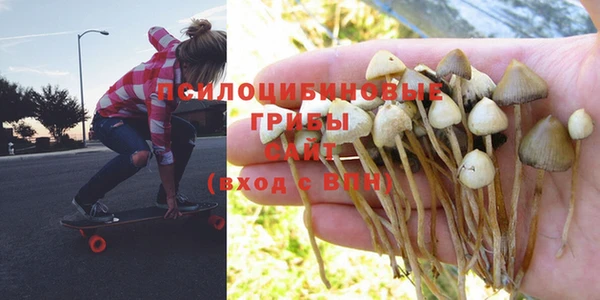 соль курить ск Тында