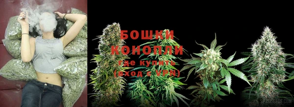 трава Туринск