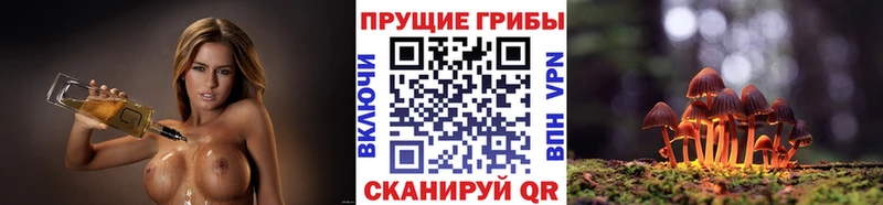 сайты даркнета состав  наркошоп  Углегорск  Галлюциногенные грибы Magic Shrooms 
